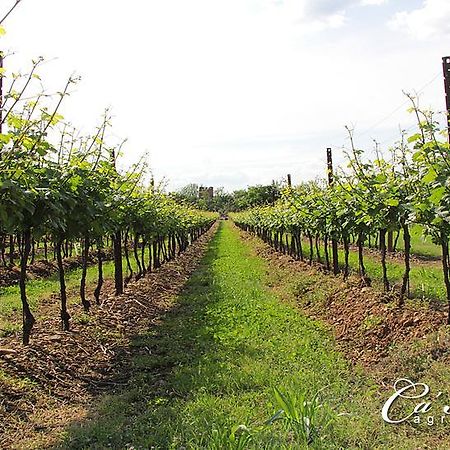 Agriturismo Ca'Mattei بيسكانتينا المظهر الخارجي الصورة