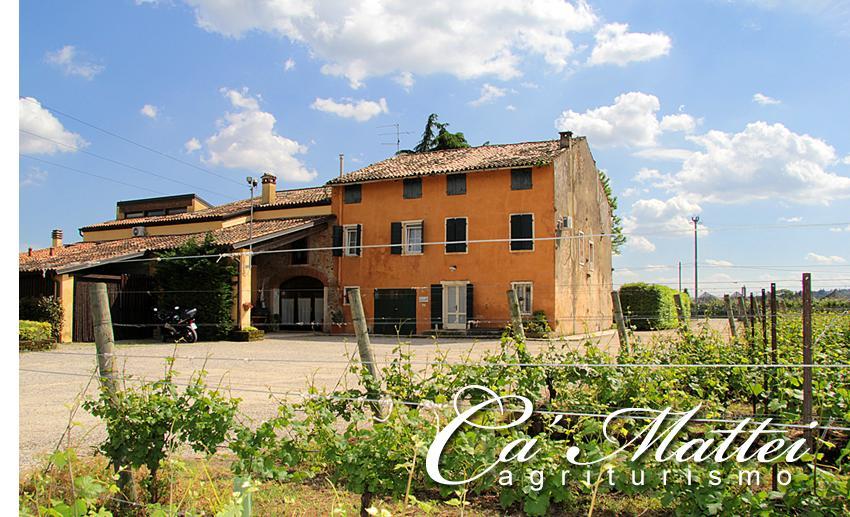 Agriturismo Ca'Mattei بيسكانتينا المظهر الخارجي الصورة
