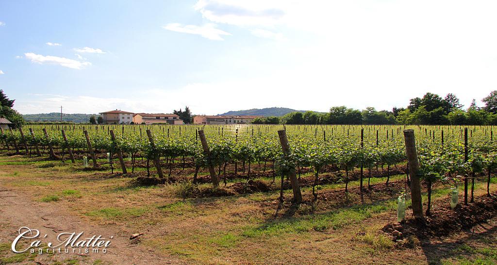 Agriturismo Ca'Mattei بيسكانتينا المظهر الخارجي الصورة